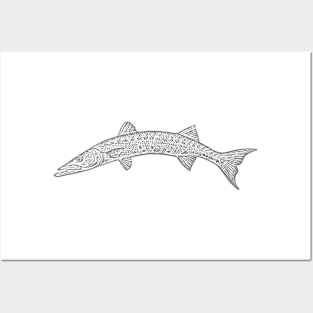 Barracuda In Silver Posters and Art